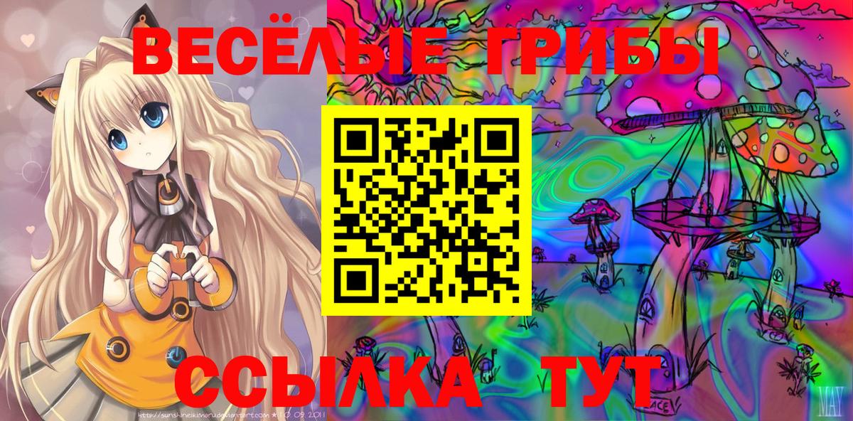 Галлюциногенные грибы мицелий Белово