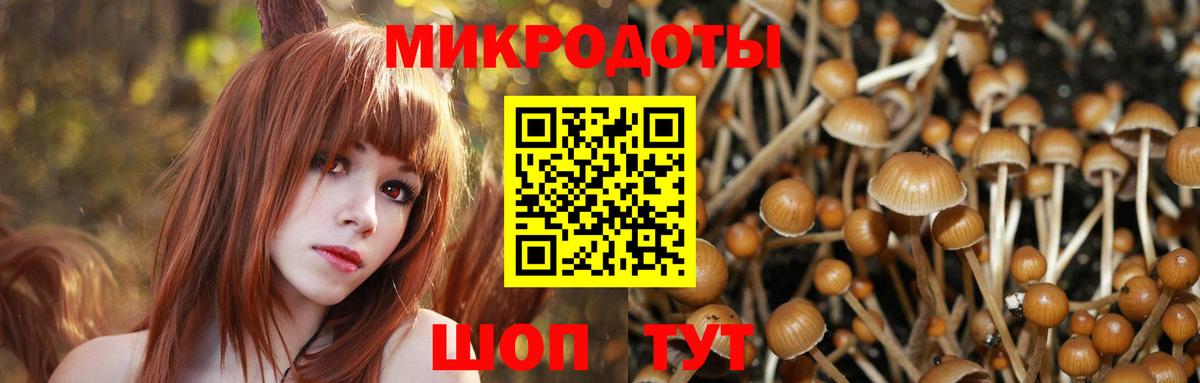 Псилоцибиновые грибы Cubensis  Вход с VPN  Белово  Галлюциногенные грибы ЛСД 